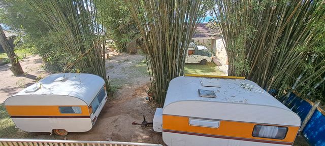 Camping Costa do Sol - Canasvieiras